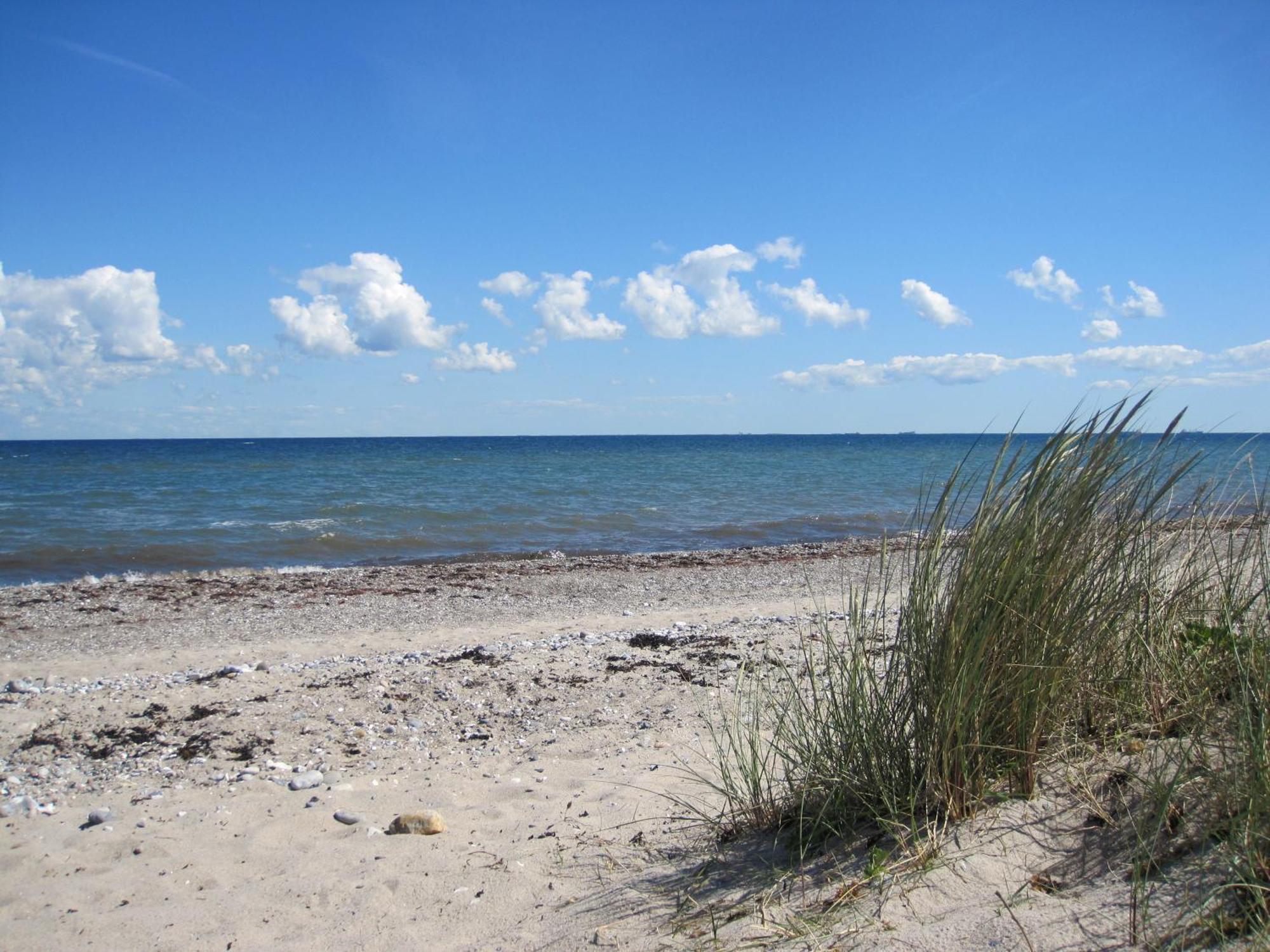 Fewo im Kastania Nr19 Petersdorf auf Fehmarn Zewnętrze zdjęcie
